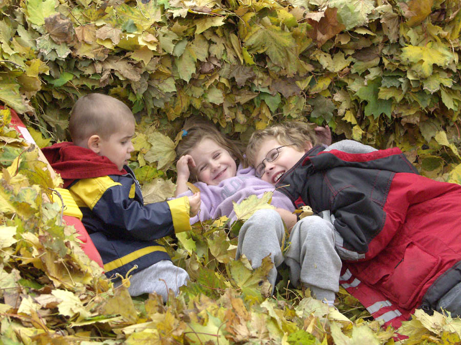 Children playing in leaves