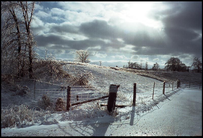 Hockley Valley Ice Storm, 1998
