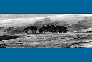 Photograph by Arnold Matthews