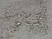 Peeling paint on bridge pillar, Mimico Creek, March 2002
