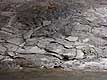 Stones and concrete under bridge, Mimico Creek, March 2002