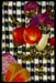 Z_BackCover_300dpi